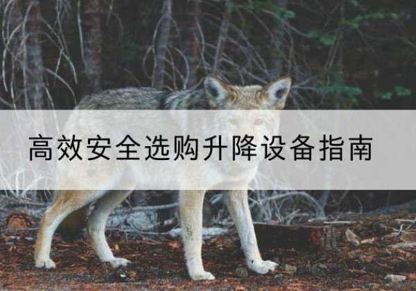 武鸣升降货梯厂家推荐-*安全选购升降设备指南