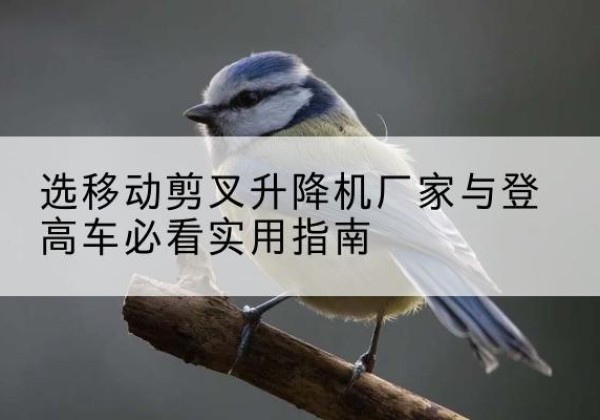 武鸣电动升降机厂家-选移动剪叉升降机厂家与登高车必看实用指南